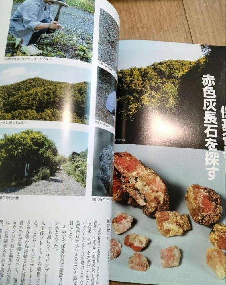Amazon.co.jp: ミネラ (MINERA) No.16 地球の不思議発見
